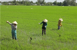 Nghiên cứu khoa học ứng phó với biến đổi khí hậu